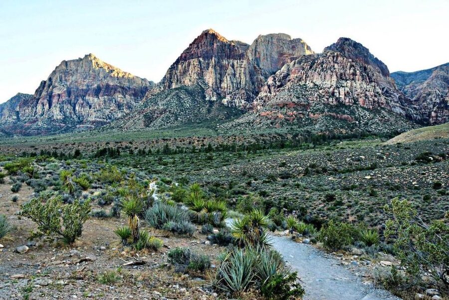 Red Rock Canyon Sign& Seven Magic Mountains Tour - Booking details worth knowing