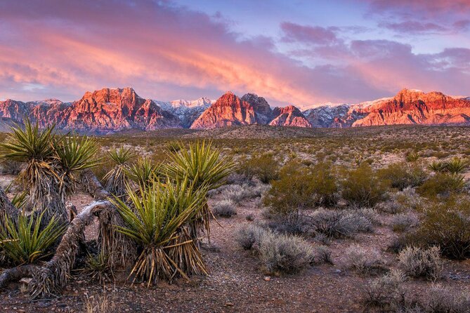 Red Rock Canyon Tour by Electric Scooter - Key points before you book