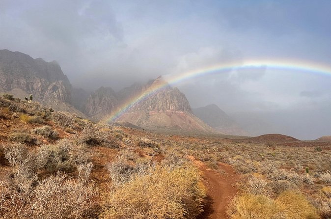 Redrock Hikes Come See Our South West Historic Beauty - The wildlife search
