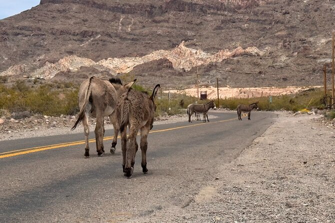 Route 66, Oatman, Nelson Ghost Town SmallGroup Tour from LasVegas - How to prepare for a 9 to 11 hour outing