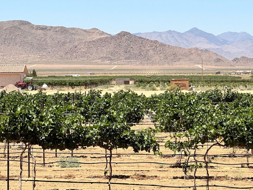 Scenic Desert Wine, Distillery Tastings/Brewery/RT66 & Lunch - Little Old Wine Drinkers Vineyard and its mountain views