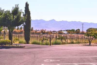 Scenic Wine Tasting Tour from Las Vegas with Food