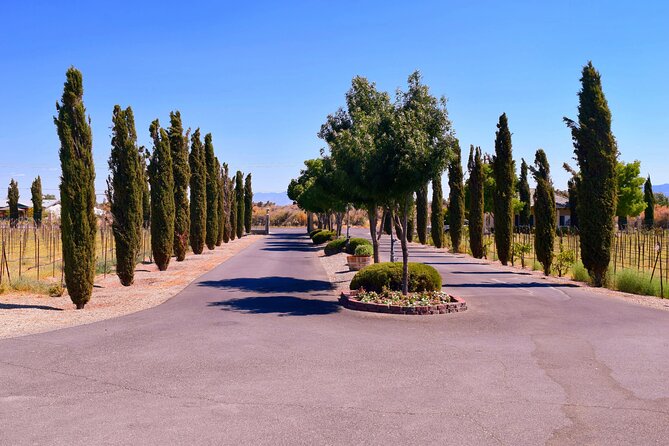 Scenic Wine Tasting Tour from Las Vegas with Food - What the Wine Experience Is Really Like
