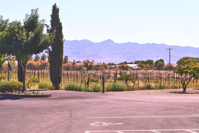 Scenic Wine Tasting Tour from Las Vegas with Food - The Ride to Pahrump