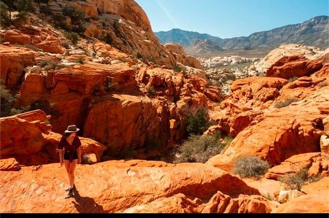 Shared Tour in Red Rock Canyon - From the MGM Grand to the red cliffs