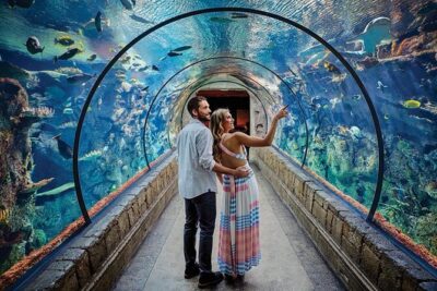 Shark Reef at Mandalay Bay Hotel and Casino