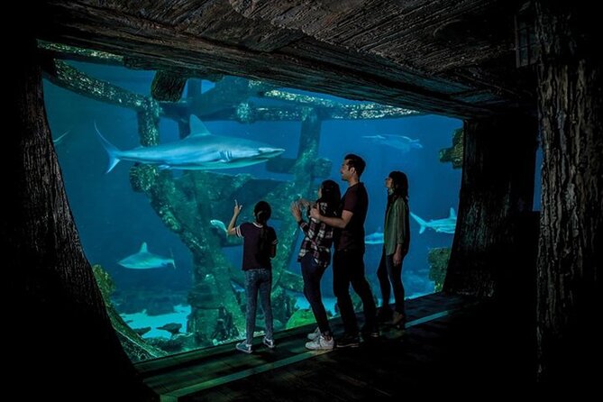 Shark Reef at Mandalay Bay Hotel and Casino - Price and Value at $29.75