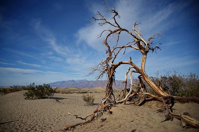 Small-Group Death Valley National Park Day Tour from Las Vegas - Badwater Basin, 282 feet below sea level
