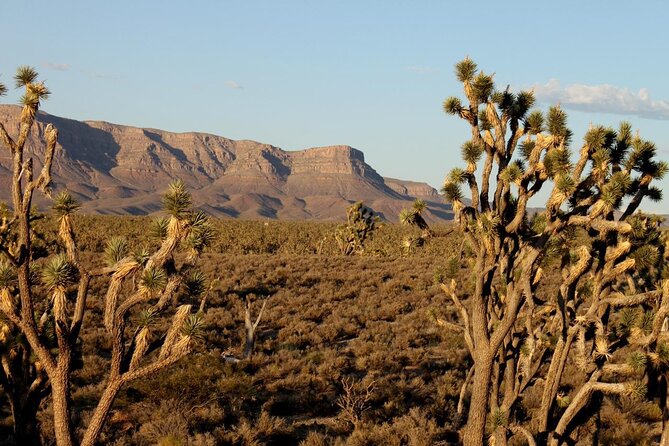 Small Group Grand Canyon, Hoover Dam and 7 Magic Mountains Tour - Three hours at Grand Canyon West