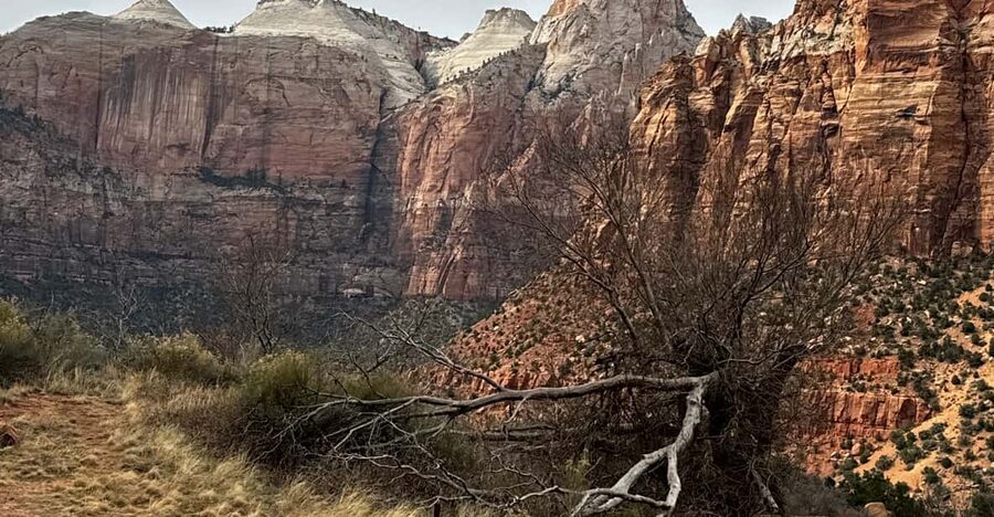 Small Group Tour Zion Bryce Canyon National from Las Vegas - Key points at a glance