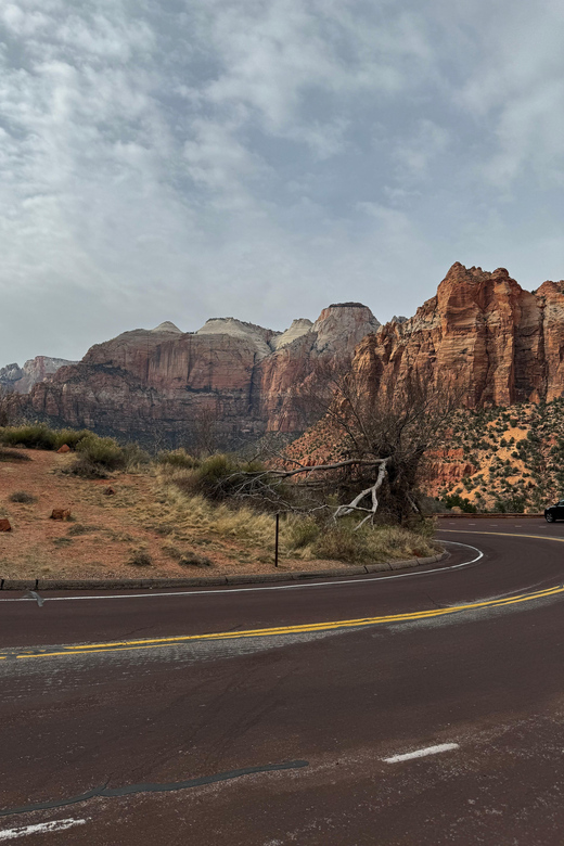 Small Group Tour Zion Bryce Canyon National from Las Vegas - Zion offers bigger cliffs and a different mood