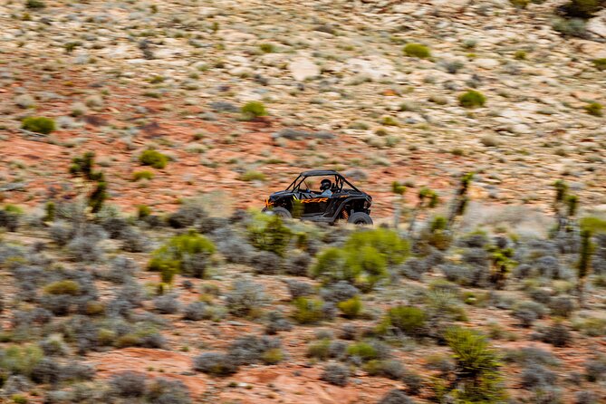 SXS Tour W/ A Stop at Pioneer Saloon Goodsprings in Las Vegas - Who will enjoy this ride most