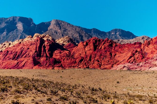 The Ultimate Red Rock Canyon Scenic Experience - Who should book this experience
