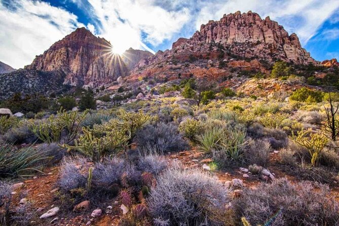 The Ultimate Red Rock Canyon Scenic Experience - Should you book the Red Rock Canyon Scenic Experience?
