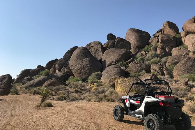 Ultimate Hidden Valley and Primm RZR Adventure from Las Vegas - Who will enjoy this desert ride?