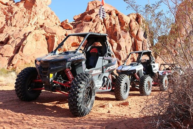 Valley of Fire Single Seater UTV Tour - Who will enjoy this ATV tour most?