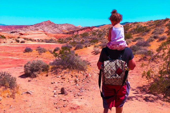 Valley of Fire State Park Day Tour from Las Vegas - My booking advice