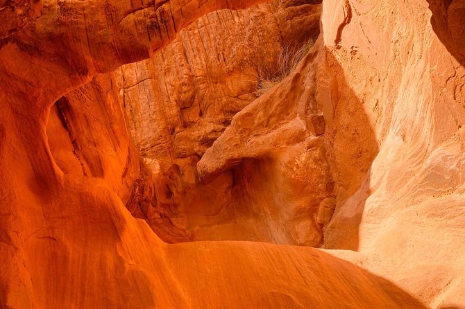 Valley of Fire Tour - Pickup, vehicles, and the small-group setup