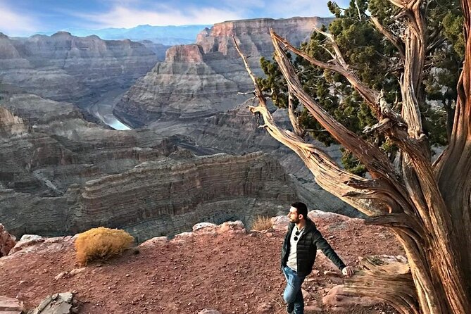 VIP Luxury Grand Canyon West and Hoover Dam with Skywalk - Joshua trees and the final approach to Grand Canyon West