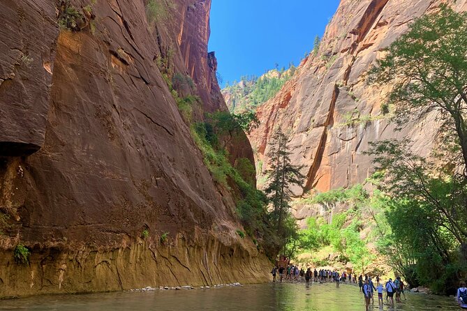 Zion National Park Small Group Tour from Las Vegas - Why the small van matters