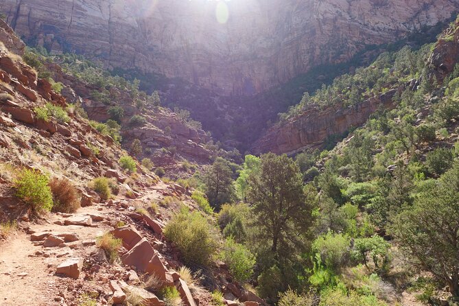 Zion National Park Small Group Tour from Las Vegas - The drive from Las Vegas is part of the day
